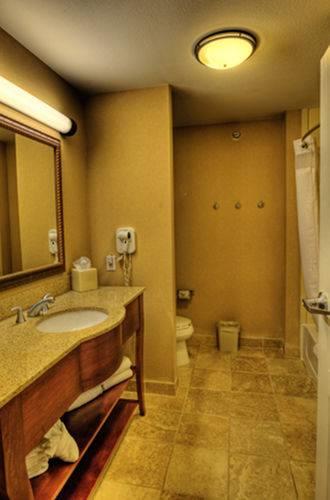 Отель Holiday Inn Express & Suites Sioux City-South