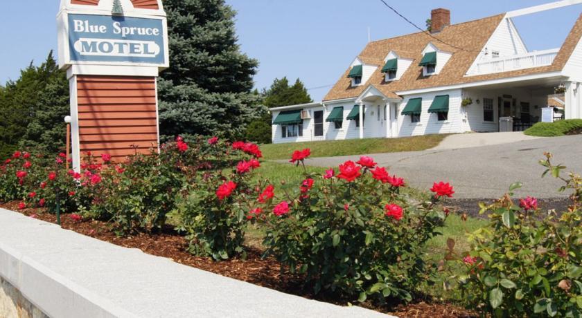 Отель Blue Spruce Motel & Townhouses