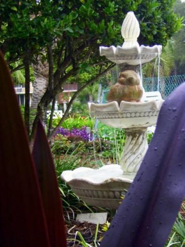 Отель Golden Palms Inn & Suites