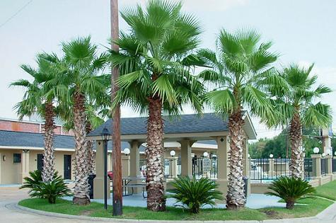 Отель Budget Inn Monroe