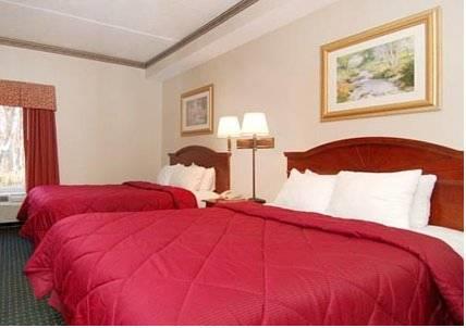 Отель Comfort Inn & Suites Mount Pocono