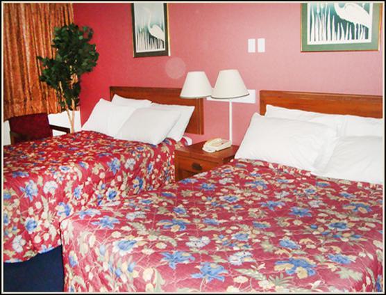 Отель Royal Inn