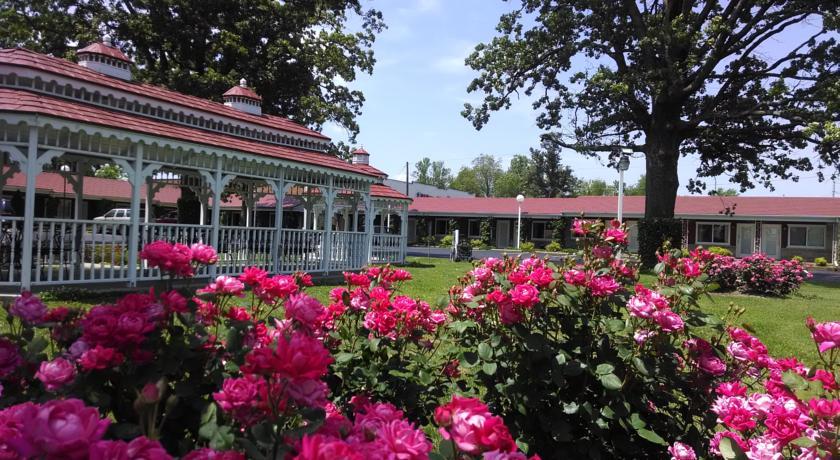 Отель Murray Plaza Lodge