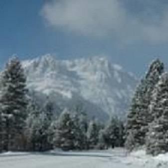 Апартаменты Birch Creek #1