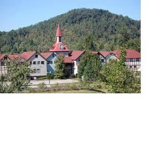 Отель Americas Best Value Inn - Helen