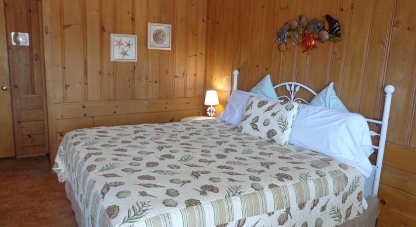 Отель Town & Beach Motel