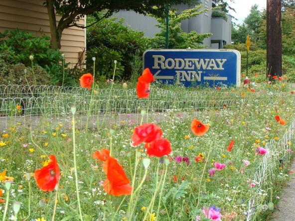 Отель Rodeway Inn Bellingham