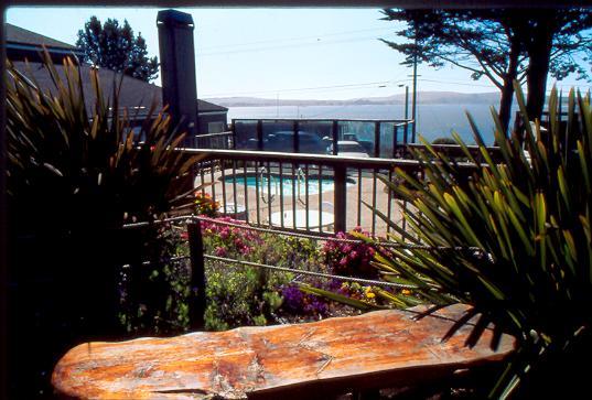 Отель Bodega Coast Inn and Suites