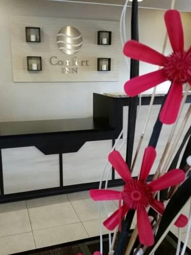 Отель Comfort Inn Brunswick