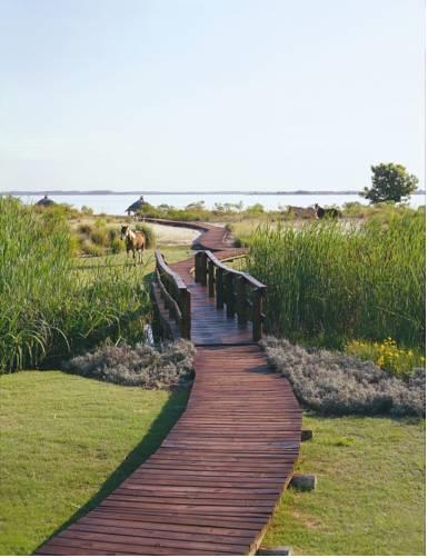 Отель Four Seasons Resort Carmelo