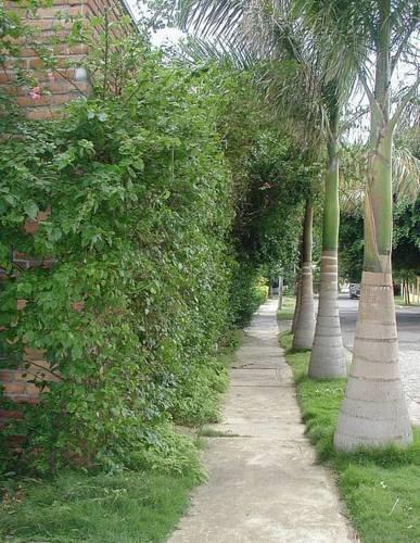 Hostal Real Los Robles