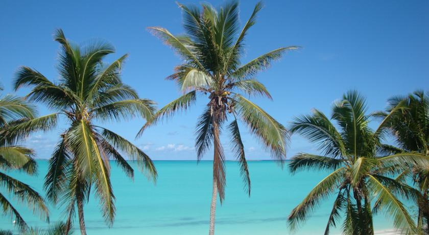 Exuma Driftwood Apartments