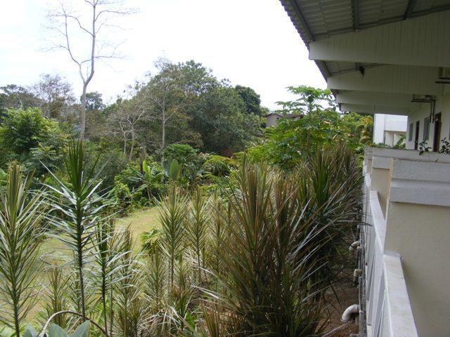Vista Arenal