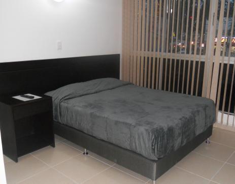Отель Hotel Avenida Circunvalar