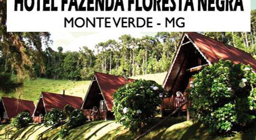 Отель Hotel Fazenda Floresta Negra