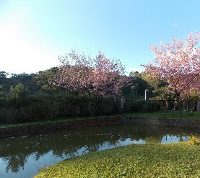 Hotel Fazenda Fonte das Hortênsias