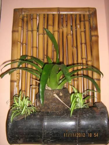 Organic House Hostel