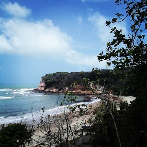 Хостел Zicatela Hostel & Surfcamp