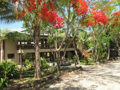 Отель Wellesley Palms Hotel