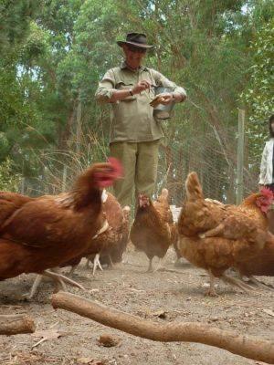 Отель Margaret River Hideaway & Farmstay