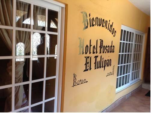 Отель Hotel Posada El Tulipan