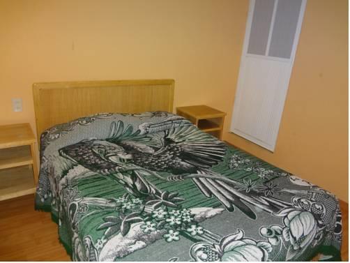 Отель Hotel Avenida Cardonal