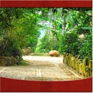 Отель Hotel Hacienda Xico Inn