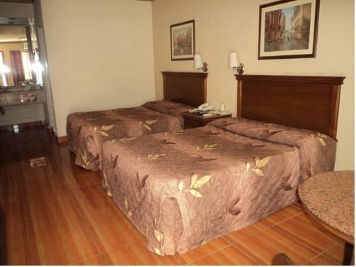 Отель Hotel San Martin