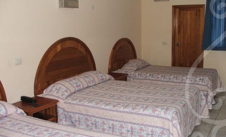 Отель Hotel Citlalli