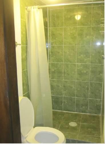 Отель Hotel Villa Jardin