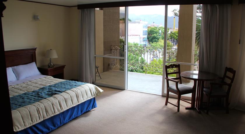 Отель Hotel Tehuacan Plaza