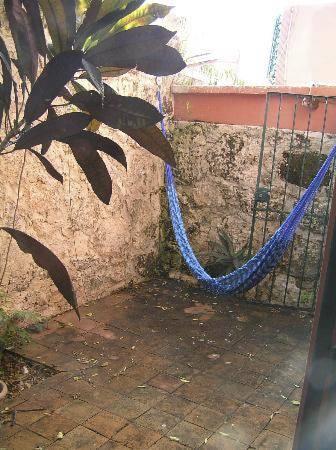 Bed and Breakfast Garden