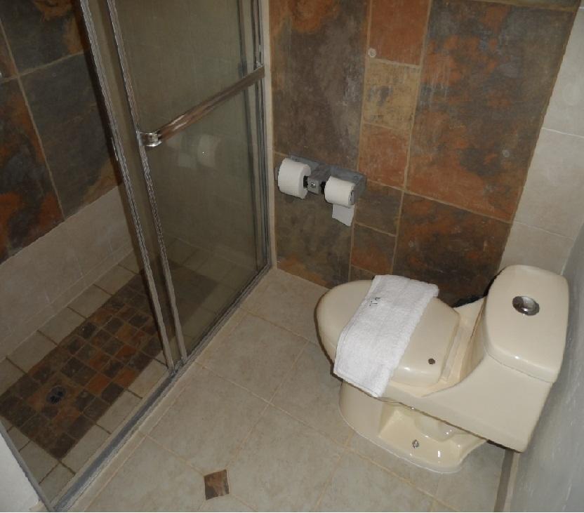 Отель Hotel Real Inn