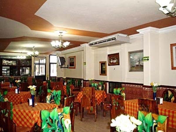 Отель Hotel Doña Juana Cecilia Plaza Jalisco