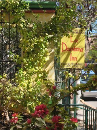 Отель La Damiana Inn