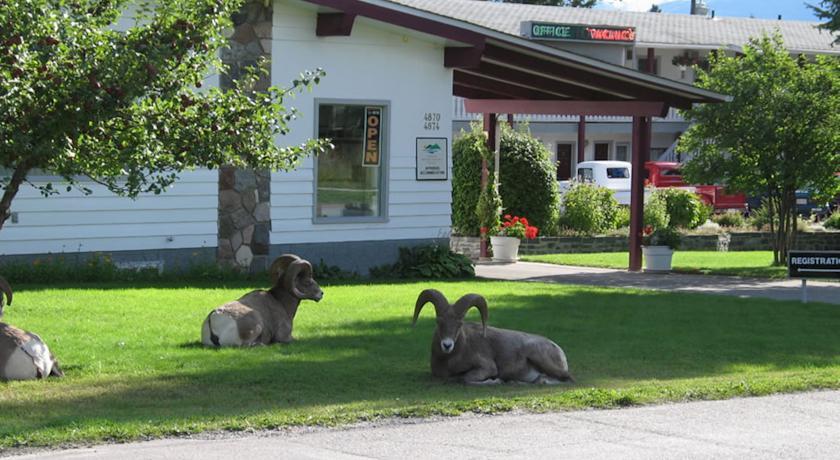 Отель Mountain Springs Motel