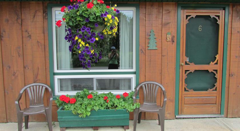 Отель Dwight Village Motel