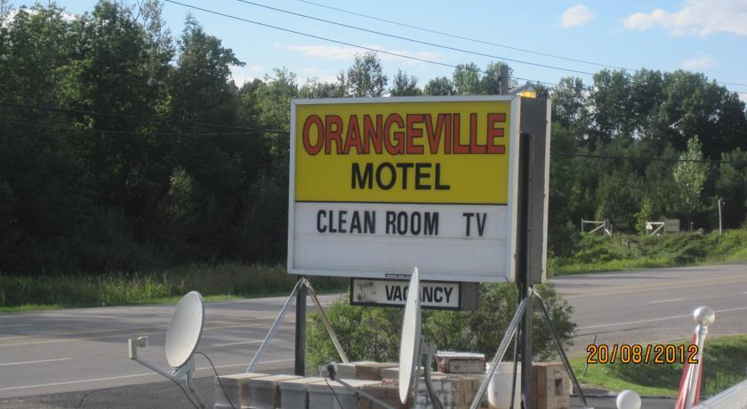Отель Orangeville Motel