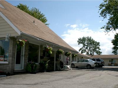 Отель Noretta Motel