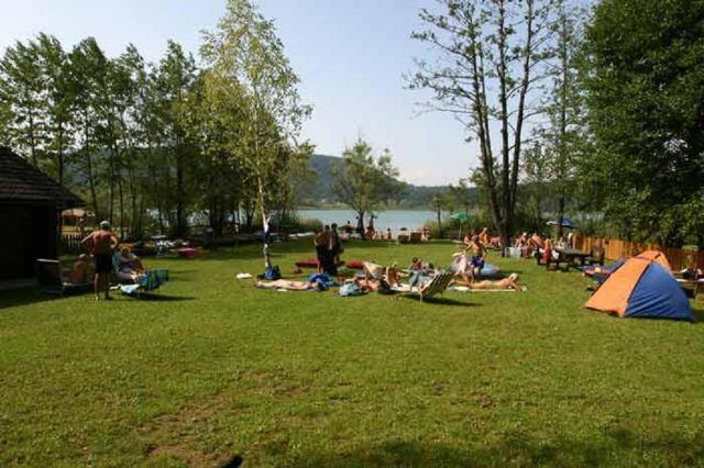 Апартаменты Ferienwohung Dissinger Rosi