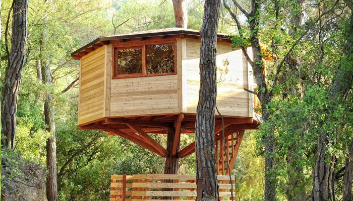 Отель Cabanes Dosrius