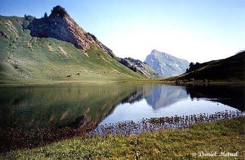 Апартаменты Résidence Les Terrasses du Mont-Blanc