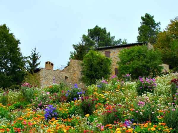 Мини-отель Chambre d'Hôtes Hameau de Cintenat
