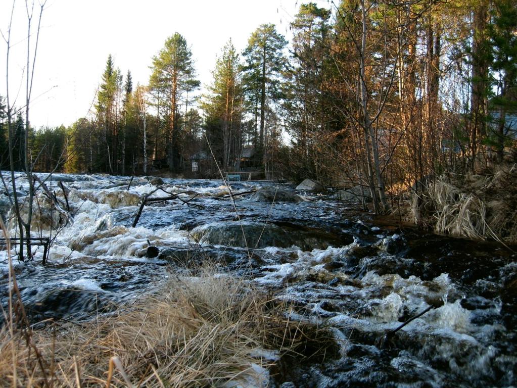 Гостиница Вегарус