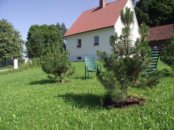 Гостевой дом Лесная Поляна