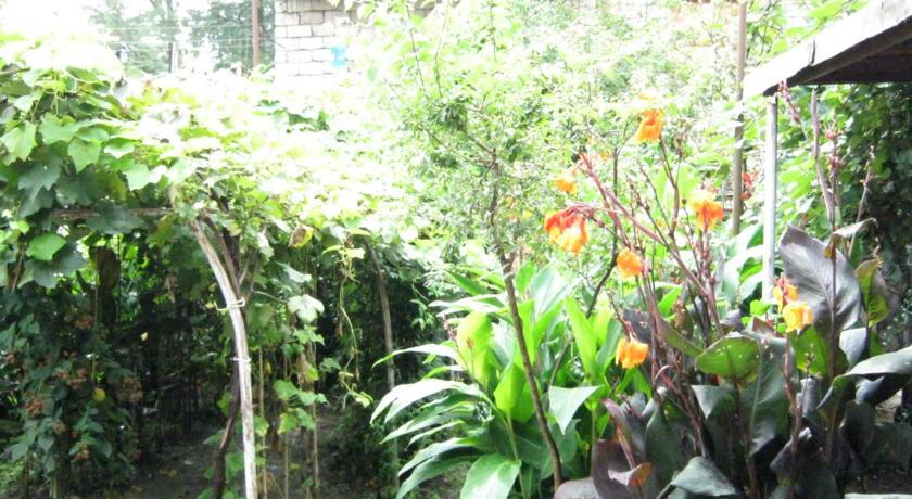 Гостевой дом Guest House Rustaveli 38