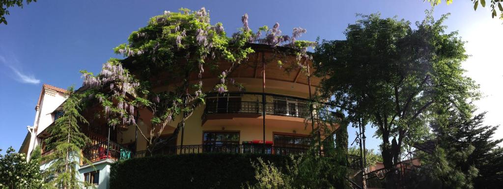 Гостевой дом Casanova Inn