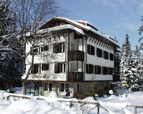 Отель Victoria Hotel