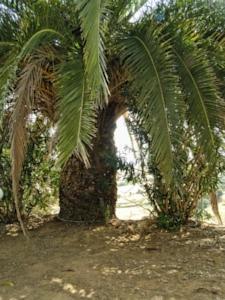 Отель Casa Rural Los Huertos