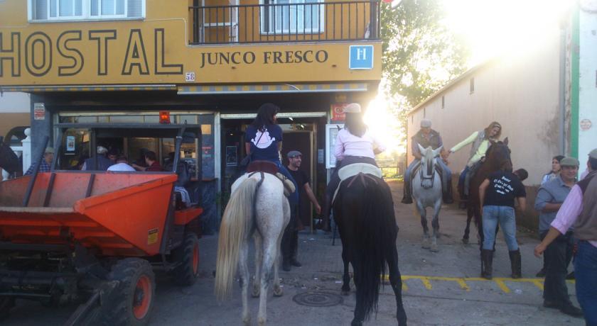 Гостевой дом Hostal Junco Fresco